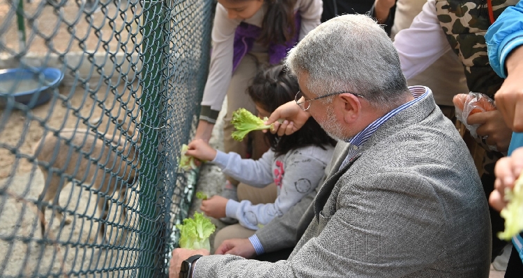 Başkan Aşgın, Öğrencilerle Minik Dostları Besledi
