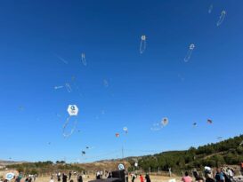 Gökyüzü Uçurtmalarla Renklendi