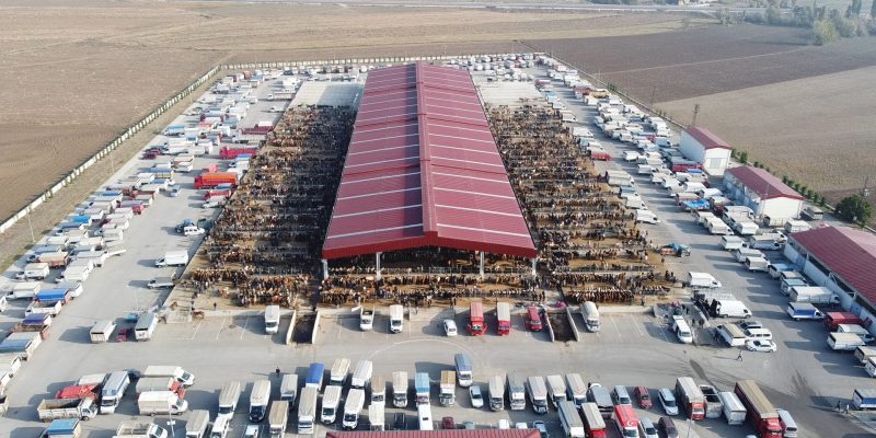Hayvan Pazarında Bayram Mesaisi Başladı