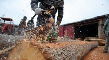 Çam Kabuğu Soyma Makinesi Seri Üretime Hazırlanıyor