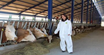 2 Milyar Liralık Yeni Hibe Desteği