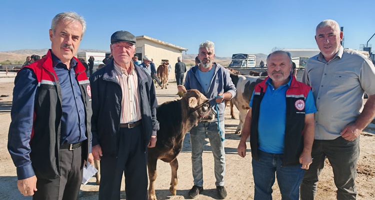 Sungurlu’da Hayvan Pazarı Açıldı