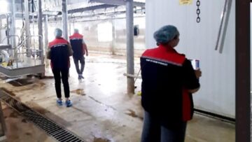 Kesimhanelerde HACCP Denetimi