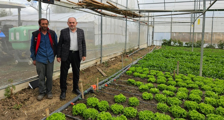 Çiftçilere %50 Hibeli Sera Örtüsü Desteği!