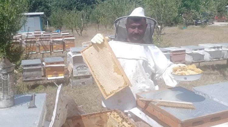 Çorum’da Arıcılık Kursu Başlıyor