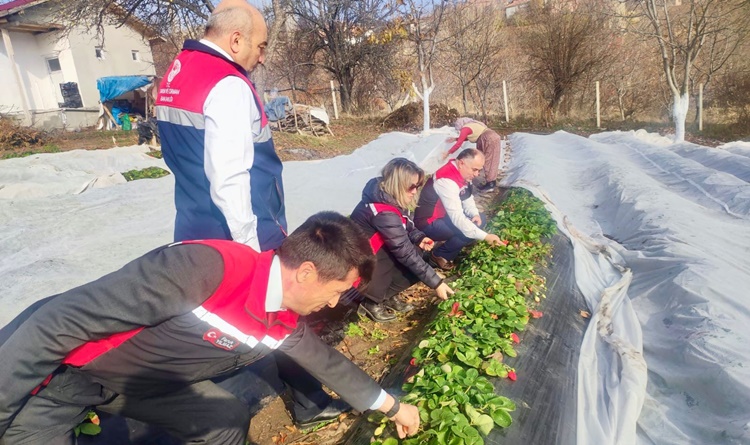 Taş’tan Organik Üreticilere Saha Ziyareti
