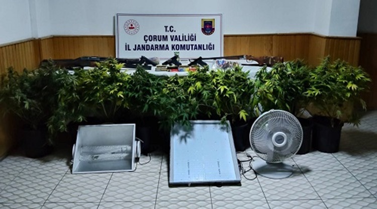 Skunk Üretim Tesisi Çökertildi