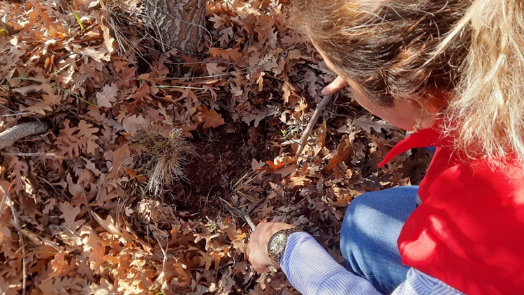 Süne ve Kımıl İçin Erken Önlem Çalışmaları Başladı