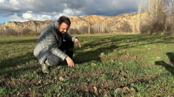 Hububat Tarlalarında Yoğun Kontrol ve Takip Yapılıyor