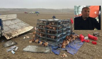 Feci Kazada Canından Oldu