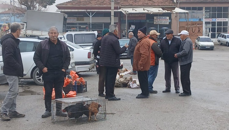 Canlı Tavuk Satıcıları Halk Pazarlarında Yer Talep Ediyor