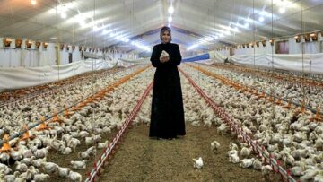 TKDK 2025 Yılında 105 Milyon Destek Sağladı