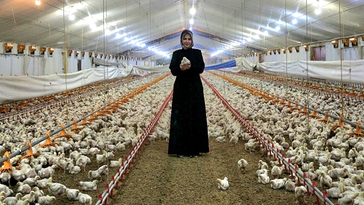 TKDK 2025 Yılında 105 Milyon Destek Sağladı