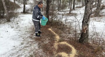 Soğuk Kış Günlerinde Yaban Hayvanlarını Unutulmadı