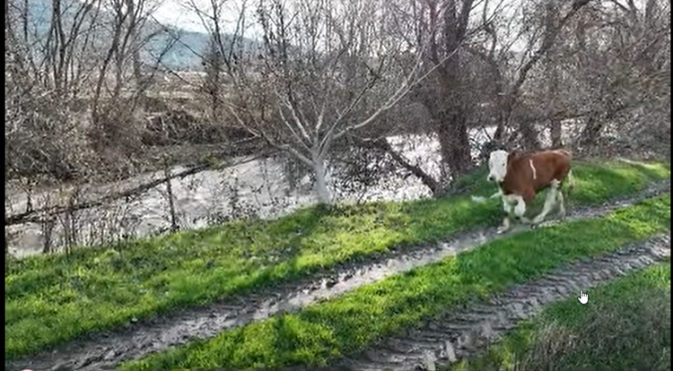 72 Saat Sonra Dron İle Bulundu