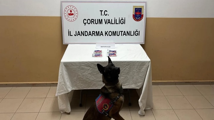 Alaca’da Uyuşturucu Operasyonu