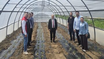 Engelsiz Tarım İçin Serada Malçlı Sebze Dikimi Yapıldı