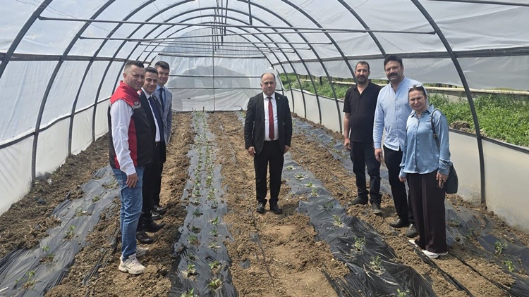 Engelsiz Tarım İçin Serada Malçlı Sebze Dikimi Yapıldı