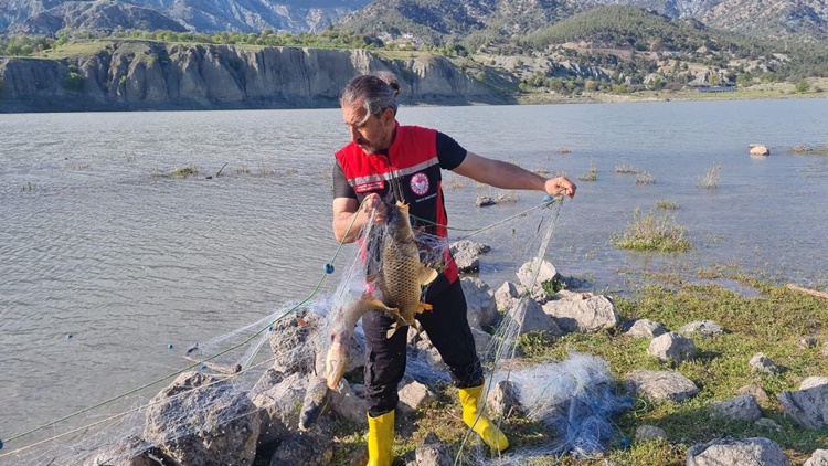 Kargı’da Kaçak Avcılık Operasyonu