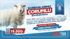 “Kurbanlarımız Çorumlu Kardeşlerimize” Kampanyası Başladı