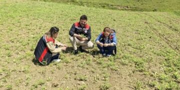 Yerli ve Milli Nohut Çeşidi Borabay, Çorum Topraklarıyla Buluştu