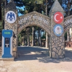 98