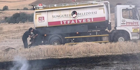 Sungurlu’da Anız Yangınları Alarm Verdi