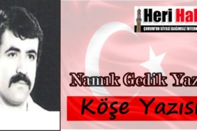 namık gedik