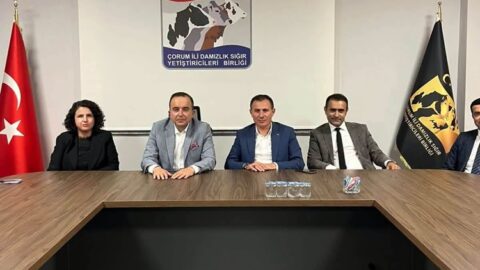 Hayvancılığa Kredi Desteğinde Limit 3 Milyon TL’ye Yükseltildi