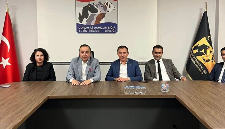 Hayvancılığa Kredi Desteğinde Limit 3 Milyon TL’ye Yükseltildi
