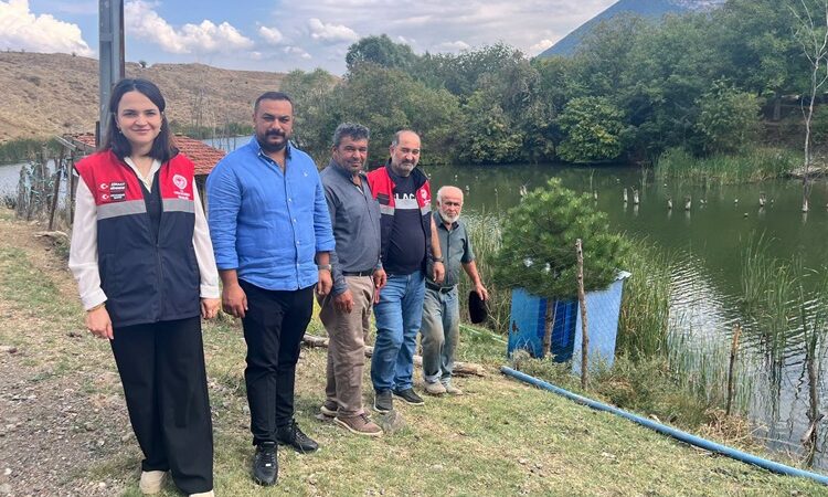 Dodurga’da Sulara Yeni Can