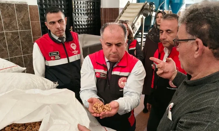 Oğuzlar Cevizinde ‘İyi Tarım’ Mesaisi