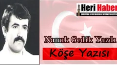 namık gedik